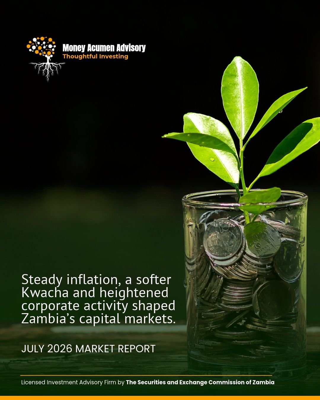 Read more about the article July report